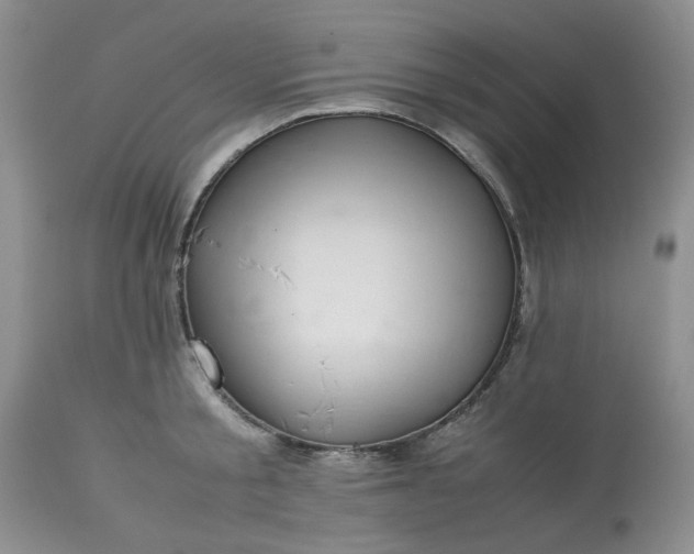 X0000113590805200910021715