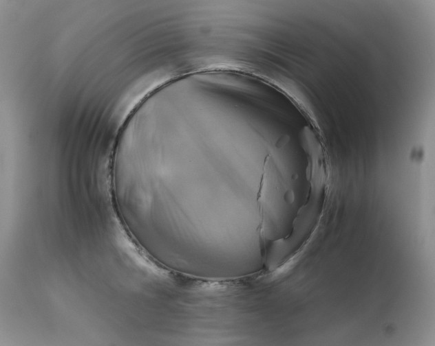 X0000113590806200910021715