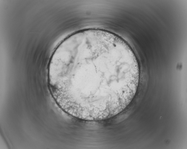 X0000113590807200910021715