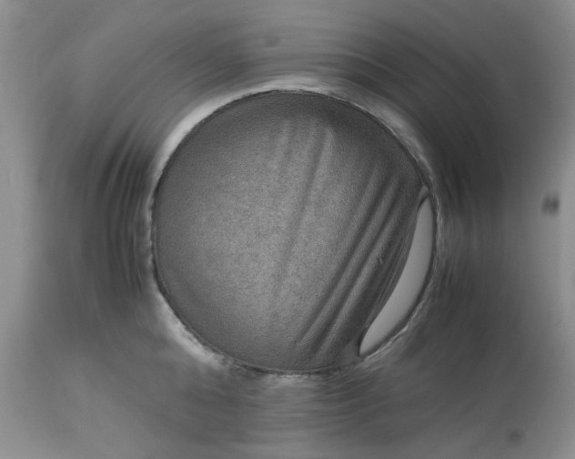 X0000113590808200910021715