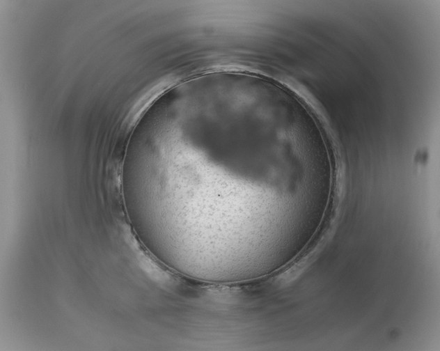 X0000113590809200910021715