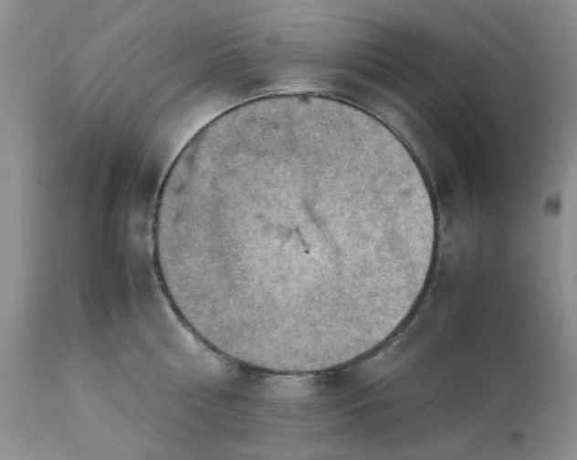 X0000113590810200910021715