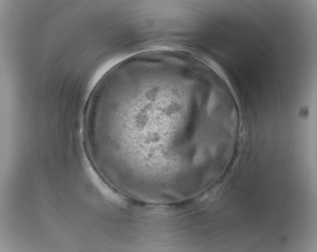 X0000113590811200910021715