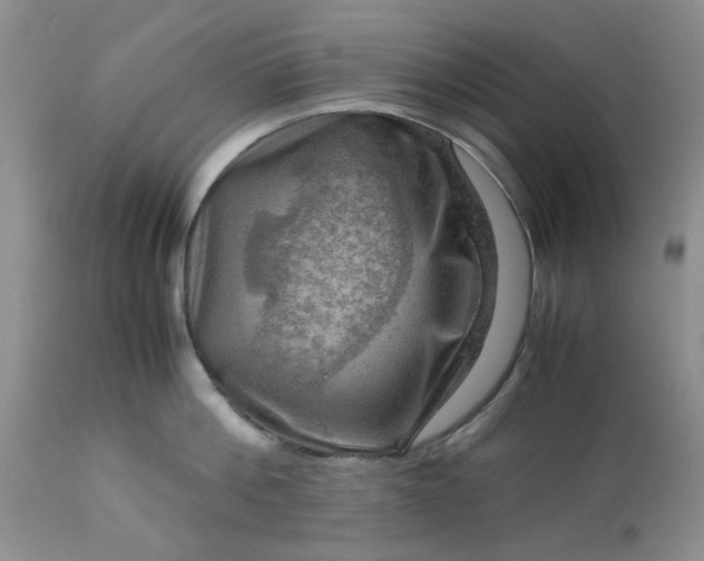 X0000113590812200910021715