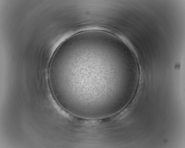 X0000113590813200910021715