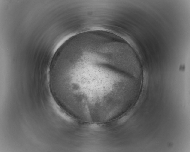 X0000113590814200910021715