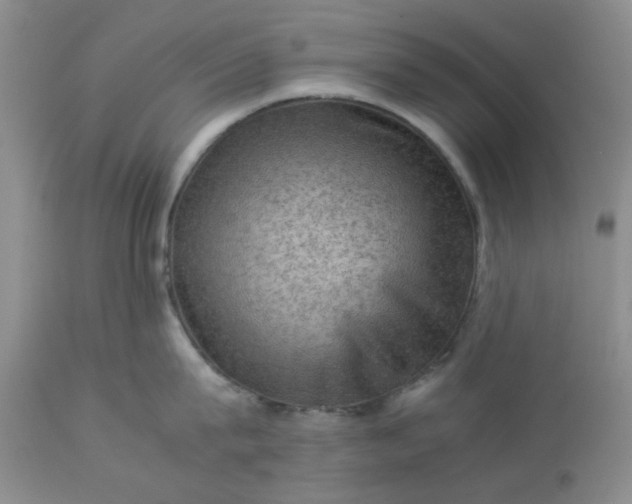 X0000113590815200910021715