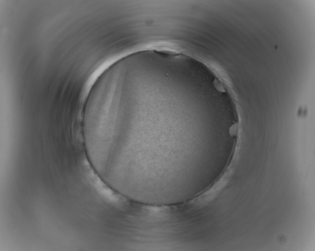 X0000113590816200910021715