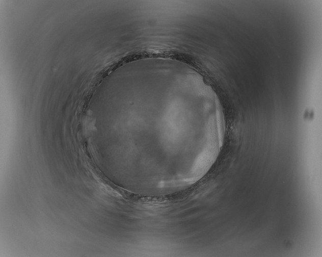 X0000113590817200910021714