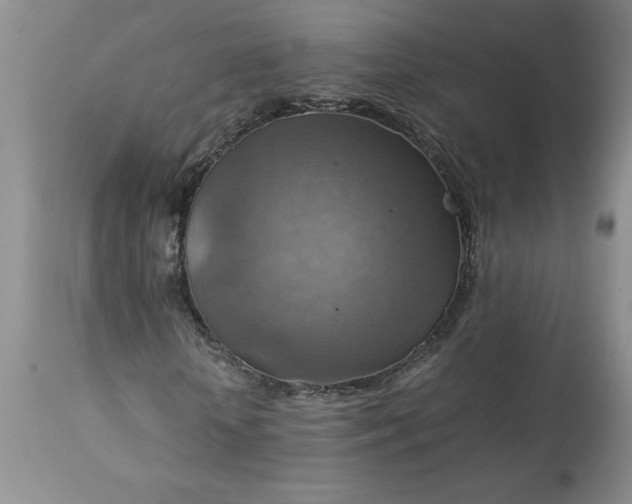 X0000113590818200910021714