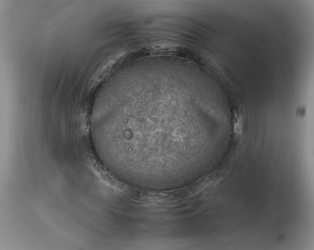 X0000113590819200910021714