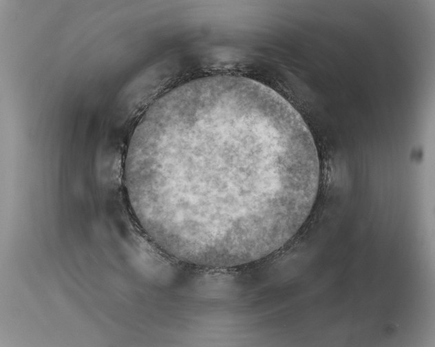 X0000113590820200910021714