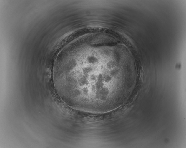 X0000113590821200910021715