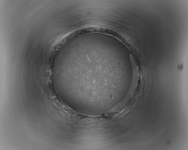 X0000113590822200910021715