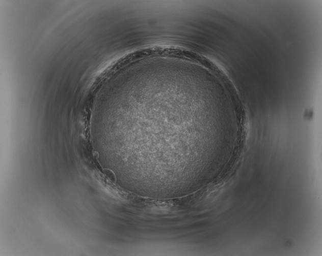 X0000113590823200910021715