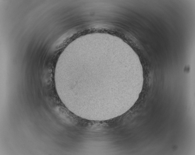 X0000113590824200910021715