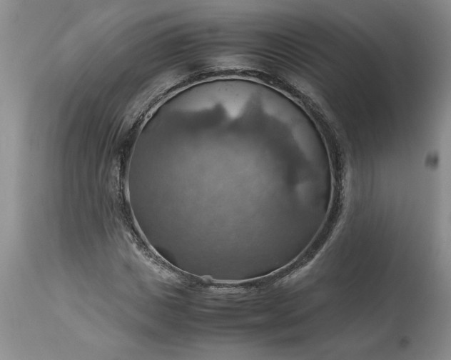 X0000113590825200910021715