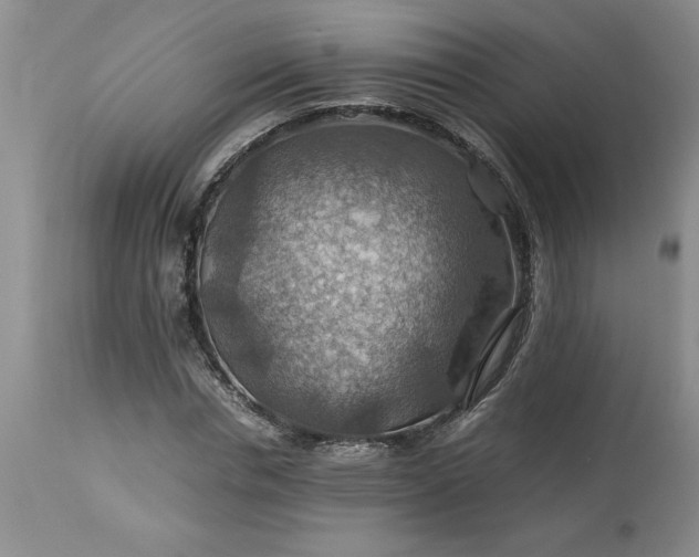 X0000113590826200910021715