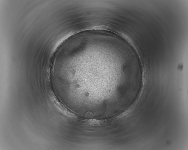 X0000113590827200910021715