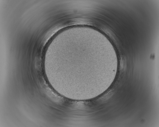 X0000113590828200910021715