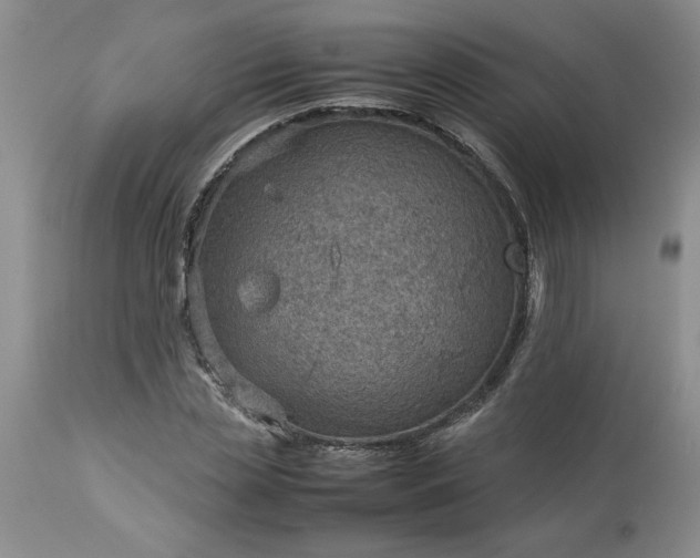 X0000113590829200910021715