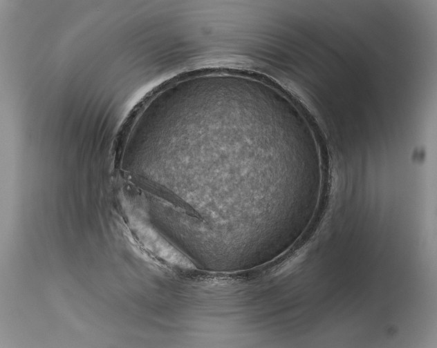 X0000113590830200910021715