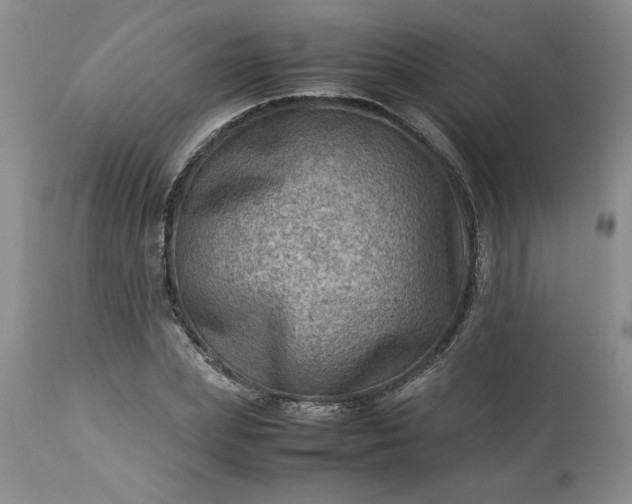 X0000113590831200910021715