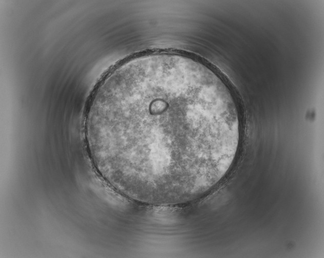 X0000113590832200910021715