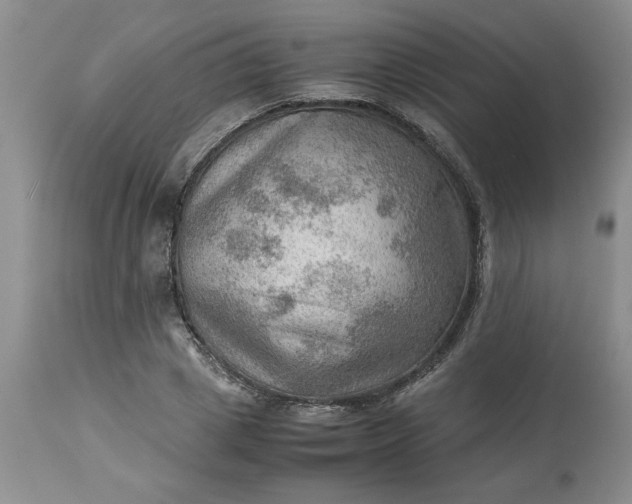 X0000113590833200910021715