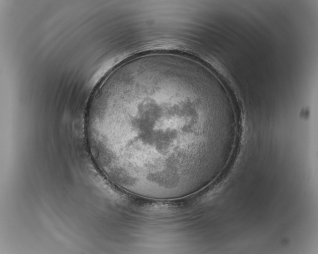 X0000113590834200910021715