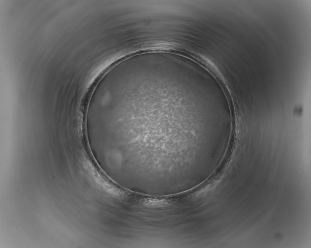 X0000113590835200910021715