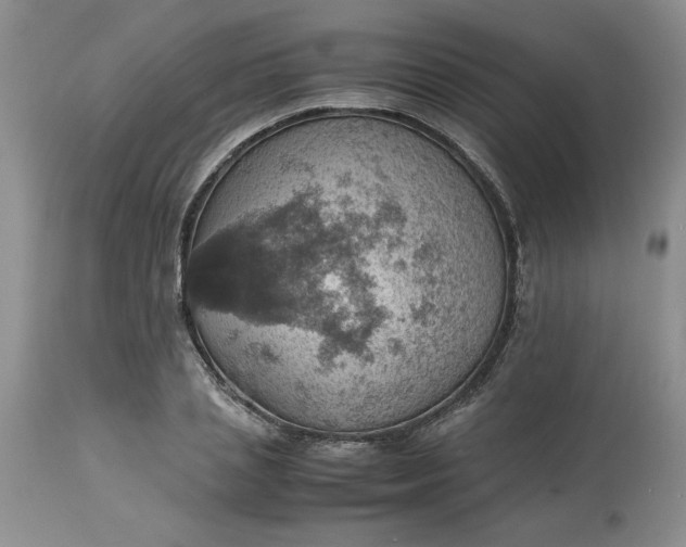 X0000113590837200910021715