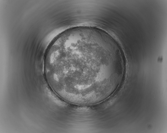 X0000113590838200910021715