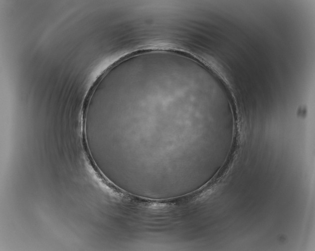 X0000113590839200910021715