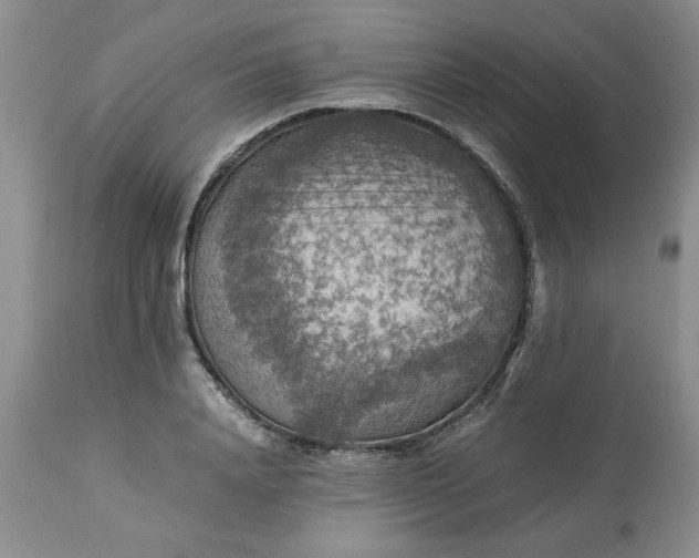 X0000113590840200910021715