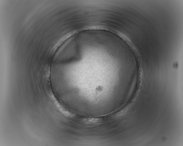 X0000113590841200910021715