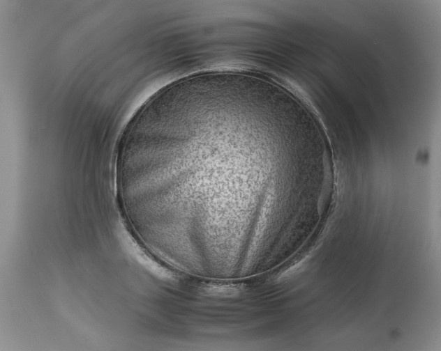 X0000113590843200910021715