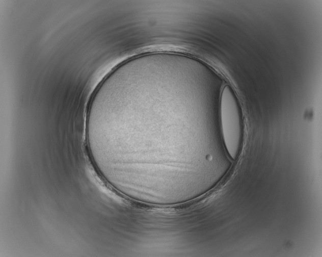 X0000113590844200910021715