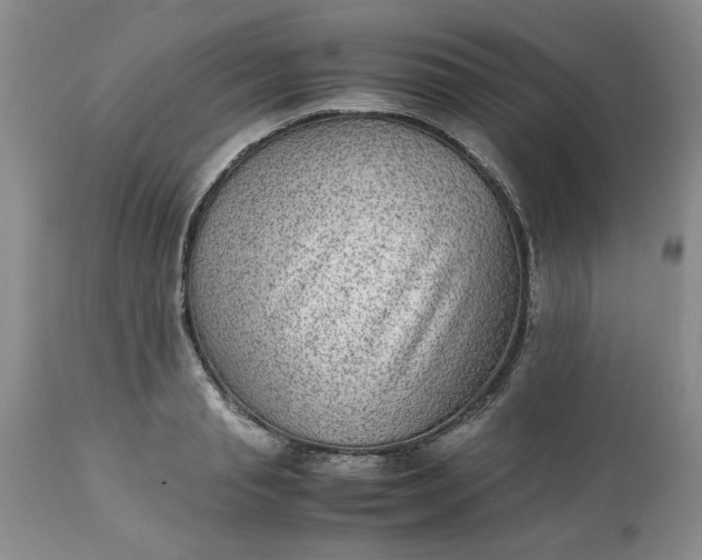 X0000113590845200910021715