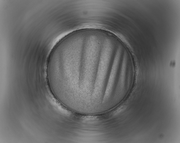 X0000113590846200910021715