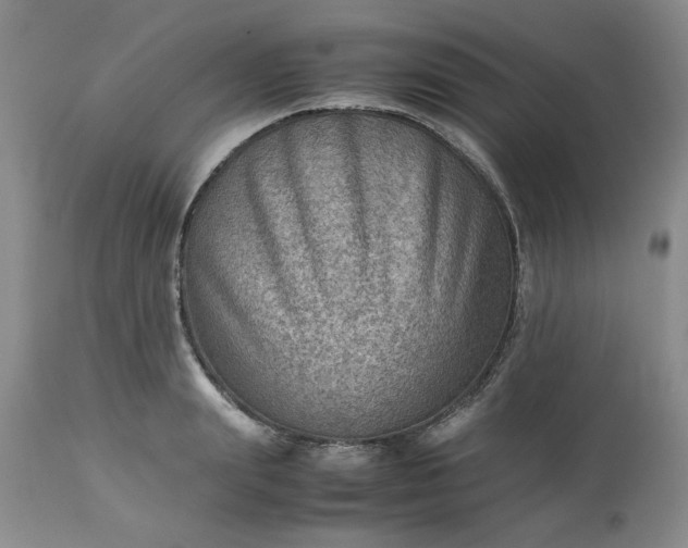 X0000113590847200910021715