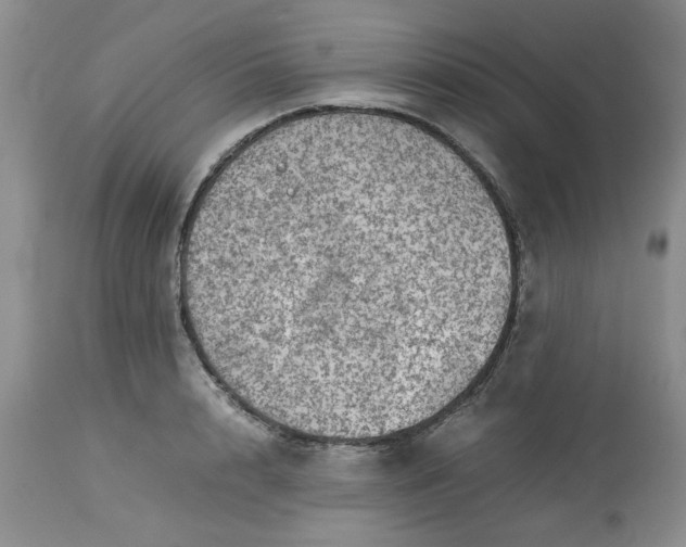 X0000113590848200910021715