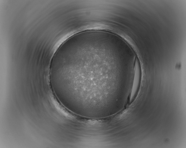 X0000113590850200910021715