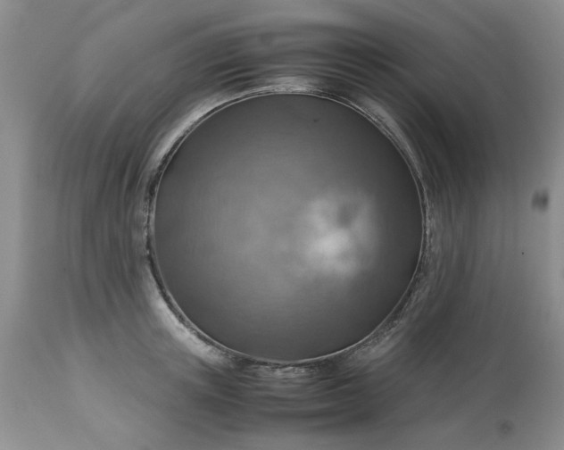 X0000113590851200910021715