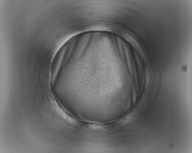 X0000113590852200910021715