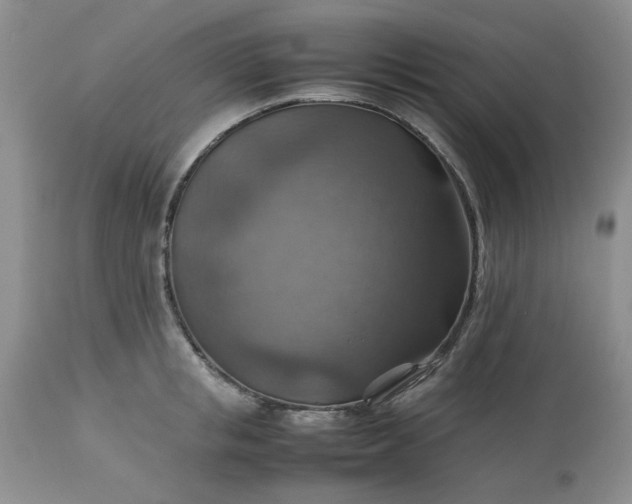 X0000113590853200910021715