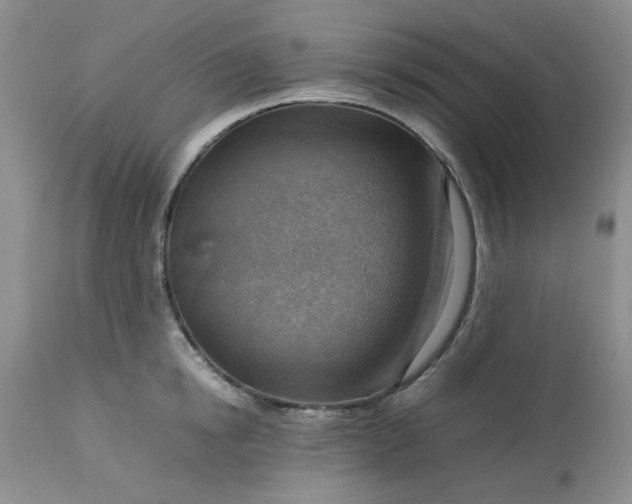 X0000113590854200910021715