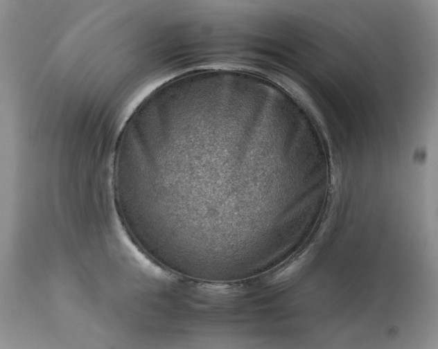 X0000113590855200910021715