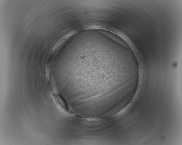 X0000113590857200910021715