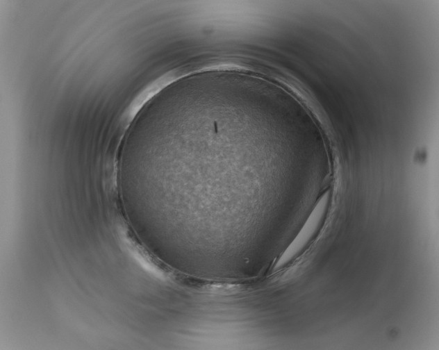 X0000113590858200910021715